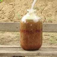 Iemesli ilgstošai misas fermentācijai un veidi, kā to paātrināt