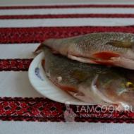حساء السمك المصنوع من سمك الفرخ النهري والبايك والراف - وصفات مثيرة للاهتمام للجسد والروح!