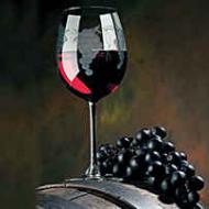 تقنية صنع النبيذ محلي الصنع من العنب بقفاز