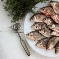 강 물고기로 집에서 생선 수프를 요리하는 방법?