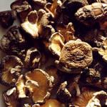 Pravila za pripremu gljiva za sušenje i zamrzavanje