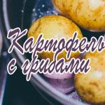 Pildīti kartupeļi cepeškrāsnī Kā un kā pildīt kartupeļus