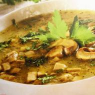 Mushroom soup: recipes with photos