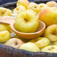 Quali mele e varietà di mele possono essere messe a bagno per l'inverno: elenco, nomi
