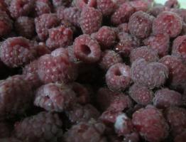 How to make raspberry jam for the winter