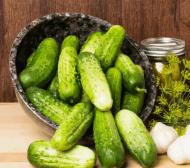 Recipes for salting crispy cucumbers for the winter