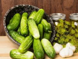 Recipes for pickling crispy cucumbers for the winter