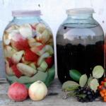 17 best recipes for moonshine tinctures at home